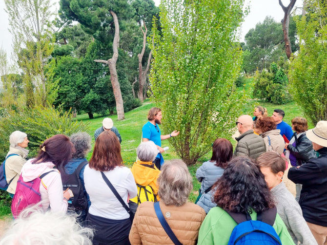 En paralelo, se han impulsado plantaciones con la participación de los vecinos en Barajas, Carabanchel, Fuencarral-El Pardo, Puente de Vallecas, Villaverde, Moncloa-Aravaca y Usera que han supuesto la incorporación de 417 árboles al patrimonio verde de la ciudad.