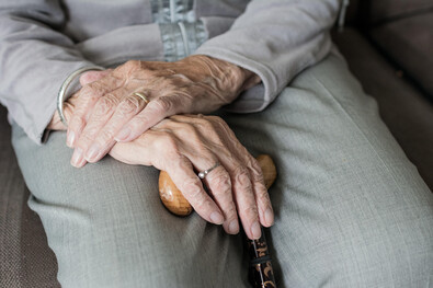 Estudio sobre la variabilidad genética en Alzheimer