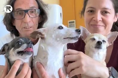 Se busca familia, para una adopción conjunta