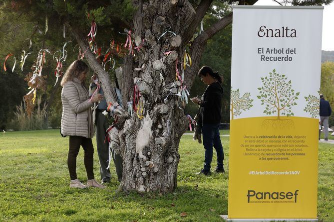 Enalta se prepara para celebrar sus jornadas de homenaje, que convertirán sus cementerios en espacios de reencuentros, recuerdo y afecto.