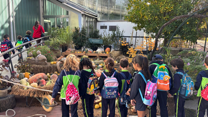 La exposición se podrá ver en el Real Jardín Botánico de manera gratuita durante las próximas semanas, previo abono de la correspondiente entrada al Jardín.