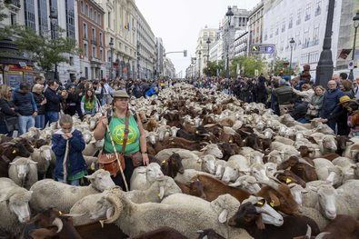 Madrid acoge la Fiesta de la Trashumancia 2025