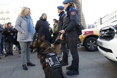 Cada uno de los dos eventos contará con más de 300 efectivos municipales desplegados en Sol, entre policías, sanitarios, bomberos y personal de limpieza, para tratar de garantizar la total normalidad en sendas celebraciones.