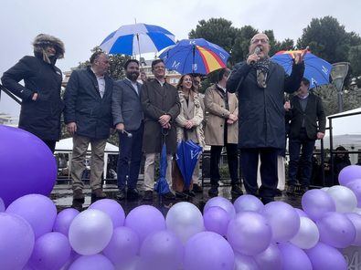 El delegado de Políticas Sociales, Familia e Igualdad, José Fernández, y el concejal de Puente de Vallecas, Ángel Niño, entre otros concejales de distrito, han presenciado esta coreografía.