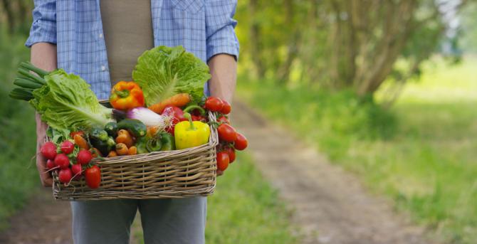 Alimentos contra la Covid-19: bulos que pueden ser muy nocivos para la salud