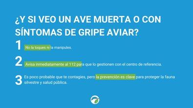 Aunque la transmisión de este virus a humanos es muy poco frecuente, SEO/BirdLife ha subrayado que la prevención es clave para proteger la fauna silvestre y la salud pública.
