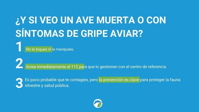 Aunque la transmisión de este virus a humanos es muy poco frecuente, SEO/BirdLife ha subrayado que la prevención es clave para proteger la fauna silvestre y la salud pública.