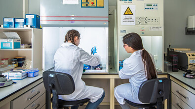 Los alumnos podrán realizar en estos centros sus trabajos de fin de grado o máster relacionados con la I+D agropecuaria.