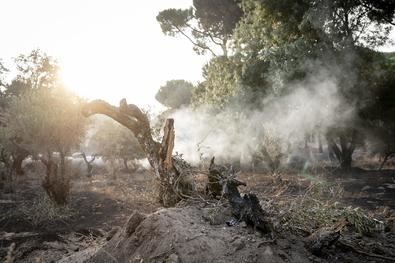 El incendio de Madrid, activo, con avance reducido