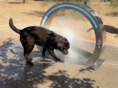 Refresco 'dog friendly', en Las Rozas