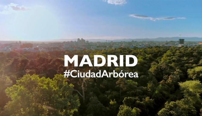 La ciudad de Madrid se hace, por séptimo año consecutivo, con el reconocimiento de Ciudad Arbórea del Mundo