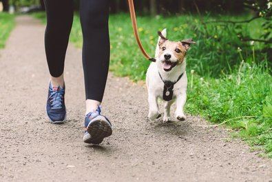 Concienciación sobre residuos caninos, en Madrid