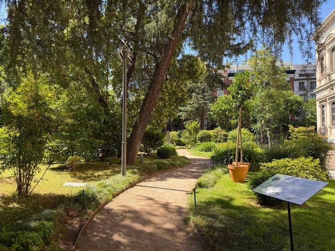 El recorrido expositivo se podrá experimentar a través de los sentidos y a lo largo de las estaciones. Se asistirá al ritmo pausado del jardín del museo, a su crecimiento y floración.
