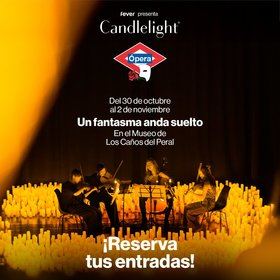 Se realizarán 15 pases al día y, aunque la entrada es gratuita, debe adquirirse a través de la página web de Museos de Metro.