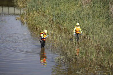 Objetivo, la mosca negra del río Manzanares
