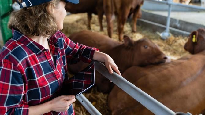 La Comunidad de Madrid iniciará próximamente un programa para asesorar a las mujeres del ámbito rural a crear, consolidar e impulsar proyectos empresariales, así como a generar redes profesionales.