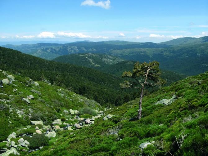 Entre las sugerencias, se ofrece disfrutar de la sierra madrileña a través de diferentes documentales.