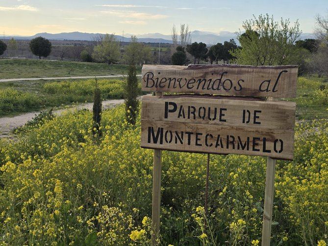 La Junta de Gobierno da luz verde a la propuesta para la renaturalización de una parcela municipal en el entorno del Cementerio de Fuencarral, con una inversión de 2,6 millones.