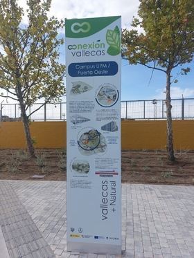 Se trata de un proyecto municipal que mejora la movilidad peatonal y ciclista con 2,5 kilómetros de carril bici bidireccional que conecta con el Anillo Verde Ciclista.