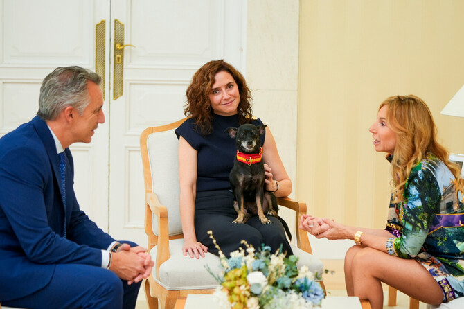 La presidenta de la Comunidad de Madrid, Isabel Díaz Ayuso, ha sido distinguida este jueves, en la Real Casa de Correos, con el Premio de Honor XV Aniversario de Perrotón Madrid 2026 Nicka Run, por su 'compromiso con la adopción' de animales de compañía.