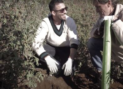 C&#243;mo plantar un &#225;rbol, con Miguel &#193;ngel Silvestre