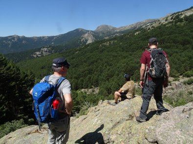 Voluntarios para salvar los árboles en Madrid