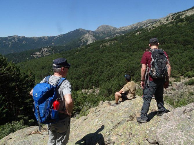 La asociación Reforesta busca colaboradores para salvar árboles autóctonos  en Madrid | Interes Madrid