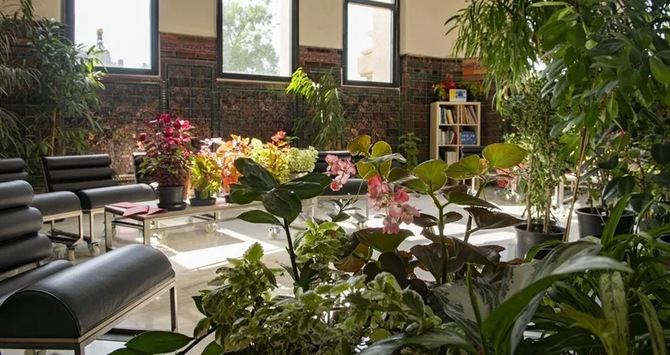 CentroCentro abrirá su Espacio Cultural Vegetal, del 3 de julio al 30 de agosto, también de martes a domingo, de 10.00 a 20.00 horas, con actividades como un taller de dibujo botánico y flamenco.