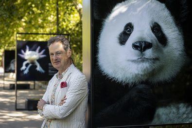 Retratos de animales amenazados, en El Retiro