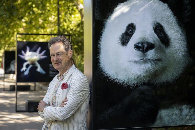 El parque del Retiro, en Madrid, acoge hasta el 25 de septiembre la obra de Tim Flach, uno de los fotógrafos de animales más reconocidos a nivel global. 'Emociones en peligro' presenta una selección de 34 retratos de animales en peligro de extinción en un singular registro visual, que busca acercar al público a la realidad de las especies amenazadas.