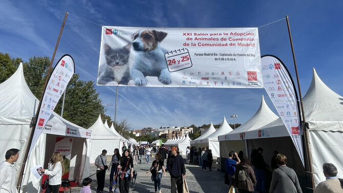 El evento cuenta con 50 carpas, de las que 24 estan dedicadas a asociaciones de proteccion y entidades publicas, 21 al acogimiento de perros y cinco, al de gatos.