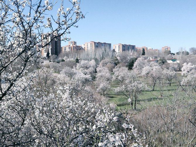 La reivindicación llega un año después de que la plataforma presentara 6.000 firmas a la Consejería de Cultura para solicitar la declaración de la finca como Bien de Interés Patrimonial (BIP).