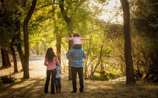 El Parque Nacional de la Sierra de Guadarrama, a unos 50 kilómetros de Madrid y ocupando una parte de la provincia de Segovia, es un privilegiado refugio de biodiversidad. 