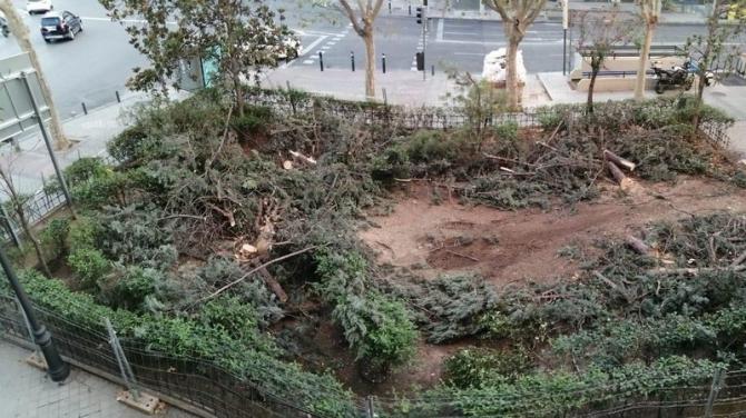 La reforma de la plaza ha supuesto la tala de medio centenar de árboles, desatando la polémica.