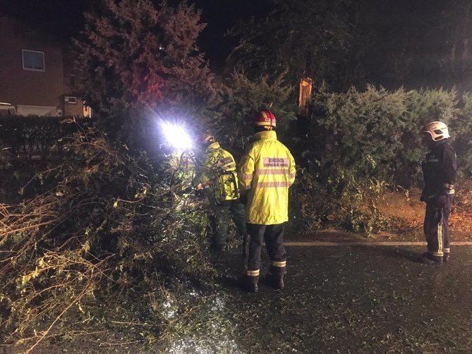 El servicio de Emergencias 112 de la Comunidad de Madrid ha recibido en apenas dos horas alrededor de 206 avisos, ninguno grave, relacionados con el temporal.