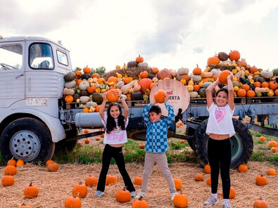 La ruta especial 'Fresas de la Huerta', dirigida al público familiar, incluye una visita guiada a las huertas históricas de Aranjuez, la posibilidad de recoger calabazas o decorarlas con motivo de Halloween.