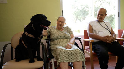 El proyecto busca también dar visibilidad a las terapias asistidas con animales y promover su integración en el cuidado de las personas mayores.