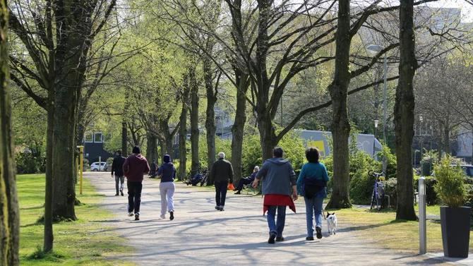 Los investigadores han analizado la asociación entre contagios, hospitalizaciones o muertes por COVID19 y la superficie de zonas verdes en 18 ciudades españolas e italianas de más de 500.000 habitantes.