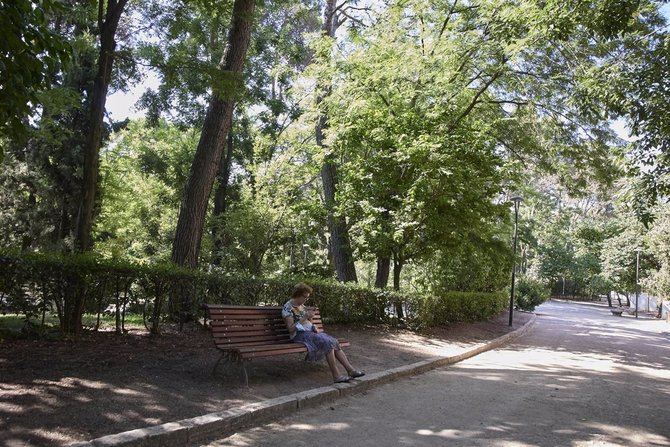 El decano de la Facultad de Medicina de la UCM, Javier Arias, ha subrayado que los resultados constituyen 'una prueba más de que el medio ambiente afecta al estado de salud de las personas'.