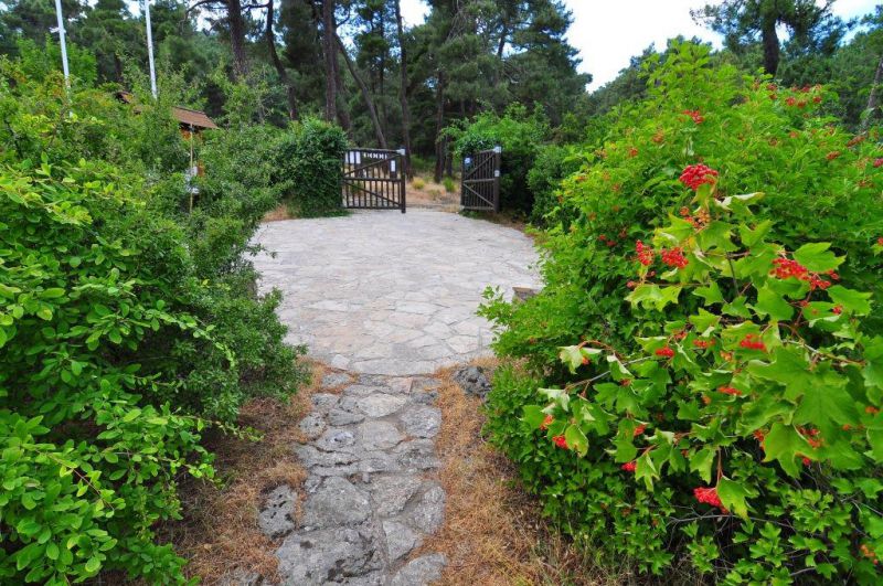 Arboreto Luis Ceballos 