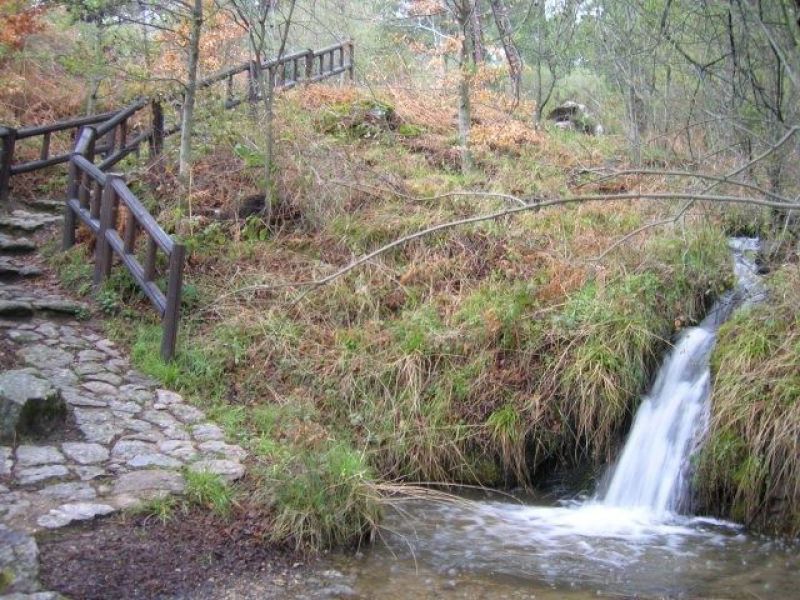 Arboreto Luis Ceballos 