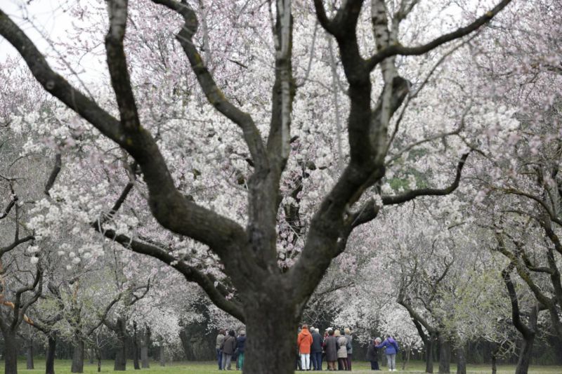 La primavera llega a la Quinta de los Molinos