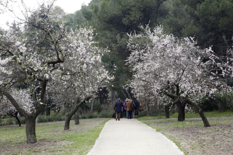 La primavera llega a la Quinta de los Molinos