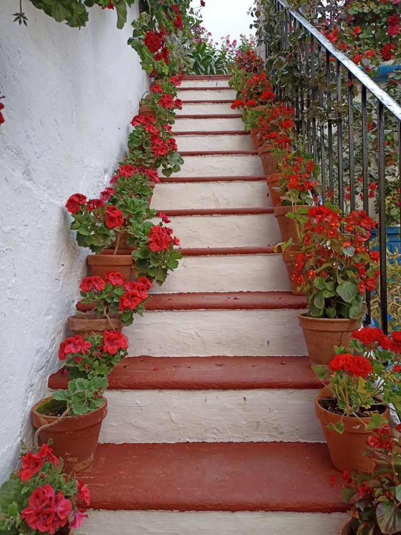 Patios de Córdoba 2022