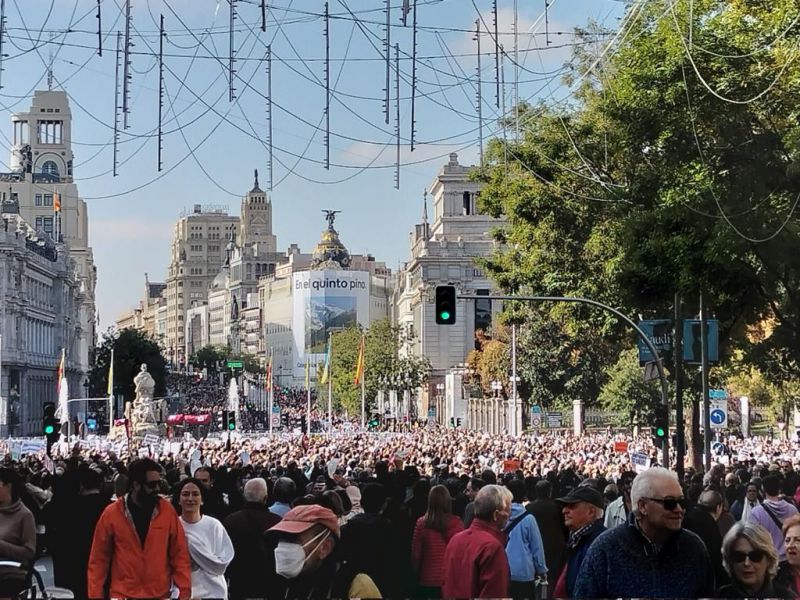 Manifestacion Sanidad 13N Madrid 2022