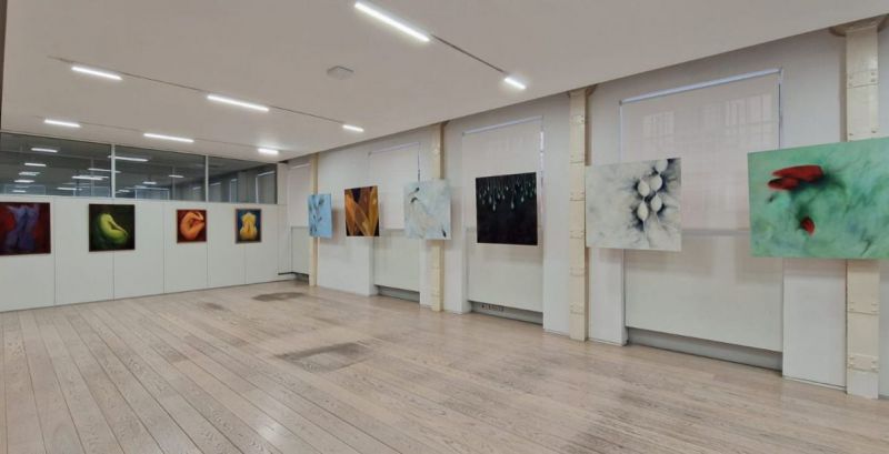 'Mujeres contemporáneas en el arte', centro cultural Clara del Rey