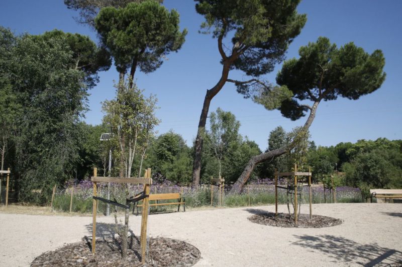 Colonia de Santa Maria regeneracion Moncloa Aravaca 2025
