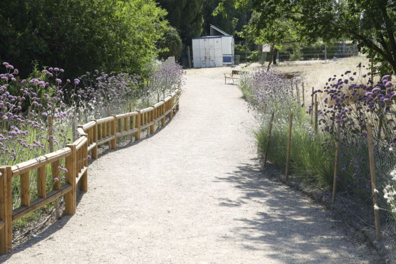 Colonia de Santa Maria regeneracion Moncloa Aravaca 2025