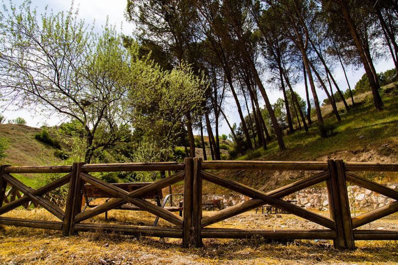 Ruta del Tren de los 40 dias
