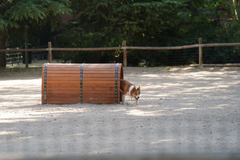 Áreas caninas de Madrid